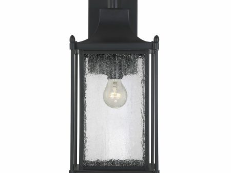 Dunnmore Outdoor Wall Light For Sale