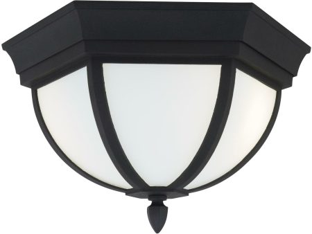 Wynfield Outdoor Ceiling Light Sale